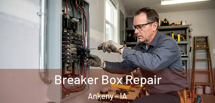 Breaker Box Repair Ankeny - IA