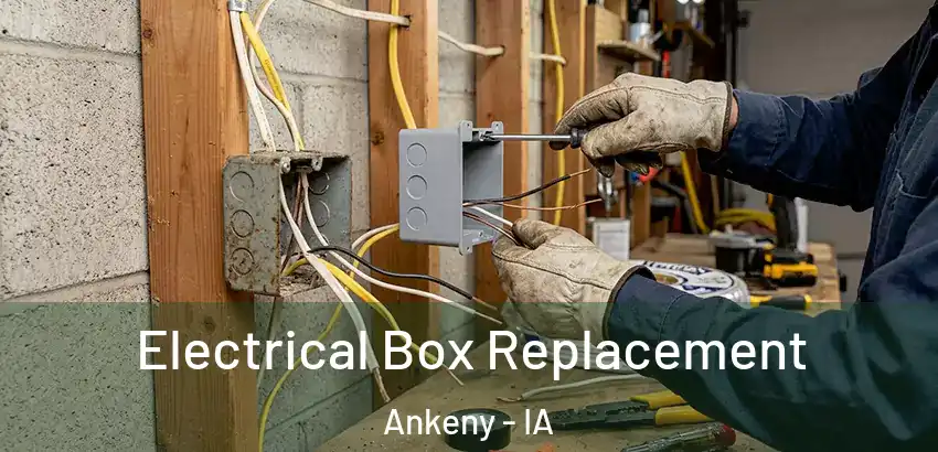 Electrical Box Replacement Ankeny - IA